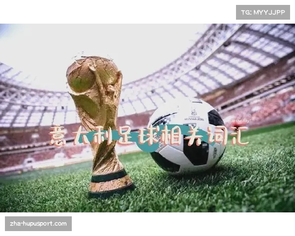 2006年与2014年世界杯冠军国家揭秘与回顾足球历史的辉煌瞬间 2006年与2014年世界杯冠军国家揭秘与回顾足球历史的辉煌瞬间